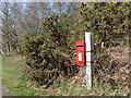 Boldre: postbox № SO41 143, Sandy Down