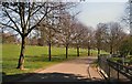 TQ2806 : Trees by miniature railway - Hove Park by Paul Gillett