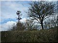 Windmill near Shave Cross