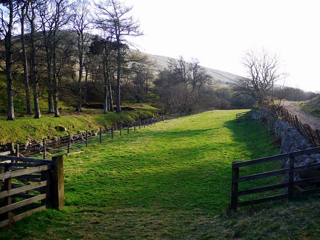 Small pasture by Harthope Burn