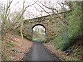 TA0097 : Bridge over the cinder path-Hayburn Wyke by Tracey Anne Taylor