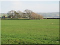 Pastures between High Sunnyside and Low Sunnyside