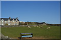 Sheep and self-catering cottages at Rhiwgoch