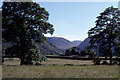 NY2413 : Looking up Borrowdale from Seatoller by Christopher Hilton