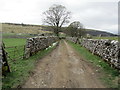 Track leading from Arncliffe