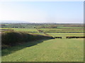 Follow the hedge, grassland near Flyford Flavell