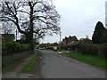 Road heading south through Thoroton