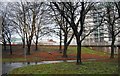 Trees by the Mancunian Way