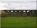NY6917 : Ormside Viaduct by John H Darch