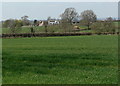 SP6393 : Farmland and Fleckney Grange Farm by Mat Fascione