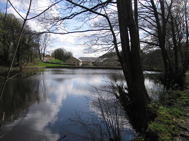 Mill pond, Wisewood