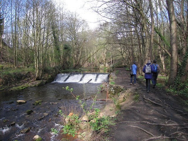 Weir at Wisewood mill pond