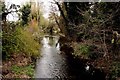 The River Lambourn in Newbury