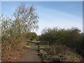 Trackbed of the Great Central Railway