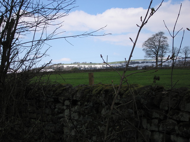 Fields near Loxley Grange