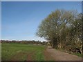 Byway near Bulwell Hall Estate