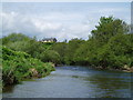 The River Coquet below Felton