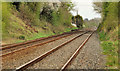 Railway at Lissue near Lisburn