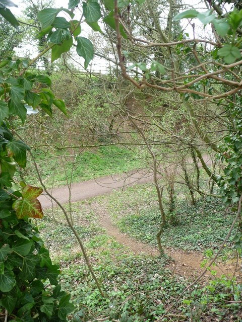 Animal path near Ingbarrow bridge