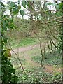 SE3849 : Animal path near Ingbarrow bridge by Christine Johnstone