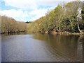 Wisewood Forge mill pond