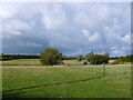 ST5527 : Fields at Steart Lane by Nigel Mykura