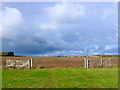 ST5627 : Fields at Woodlands Farm by Nigel Mykura