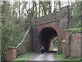 SU8717 : Crypt Lane Railway Bridge by Colin Smith