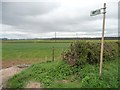 SE3844 : Footpath sign, Jewitt Lane by Christine Johnstone