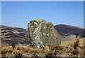 NT1609 : A standing stone at Peatshiel Sike by Walter Baxter
