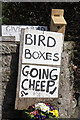 Cheep nest boxes for sale