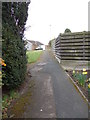 Footpath - end of Holt Green