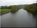 The River Wye upstream of Whitney-on-Wye tollbridge