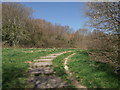 Path to Church Wood Recreational Ground