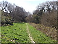 Footpath to Crowhurst Road