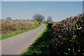 Narrow Lane near Nether Whitacre