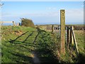 Footpath from Tilekiln Lane