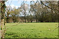 View from the road towards Maplesden