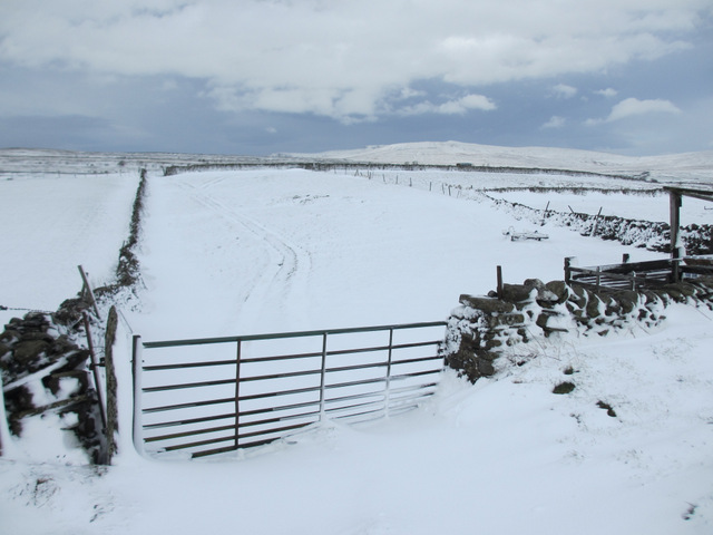 Field gate and snow by the road to High Birkwith