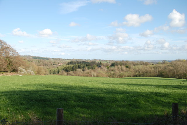View towards Snape Wood