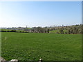 View towards the Ballynamagna Road from the Brunty cottage