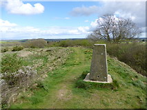 ST9101 : Spetisbury Rings, trig point by Mike Faherty