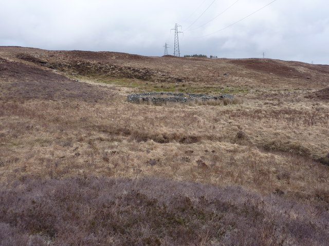 A sheepfold in the boggy moor