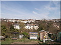 View from Forest Way Allotments