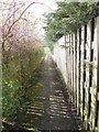 Footpath to Recreation Ground - Westfield Lane