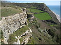 SY1688 : Cliffs on Lower Dunscombe Cliff by Philip Halling