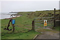 Coast at Ackergill Haven