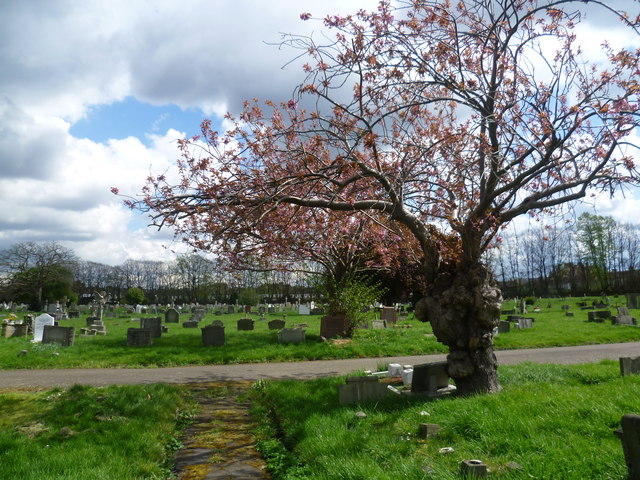 Meeting of paths in Streatham Cemetery