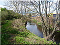 River Wandle near Wimbledon Stadium