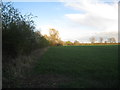 The beginning of the footpath to Long Bennington